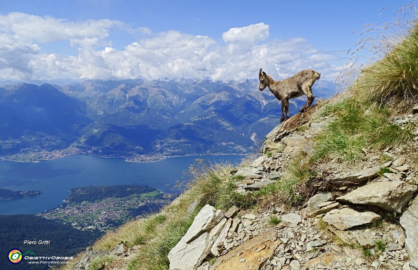 79 Stambecchina con vista su Colico.JPG -                                